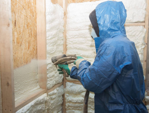 Best Insulation Air Sealing  in Randallstown, MD